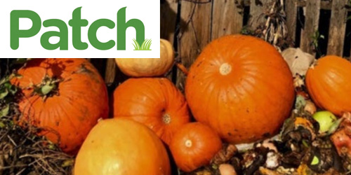 Compost your Pumpkins at Fairgate Farm