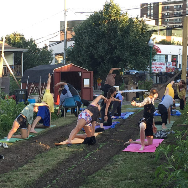 Fairgate Farm offers yoga classes