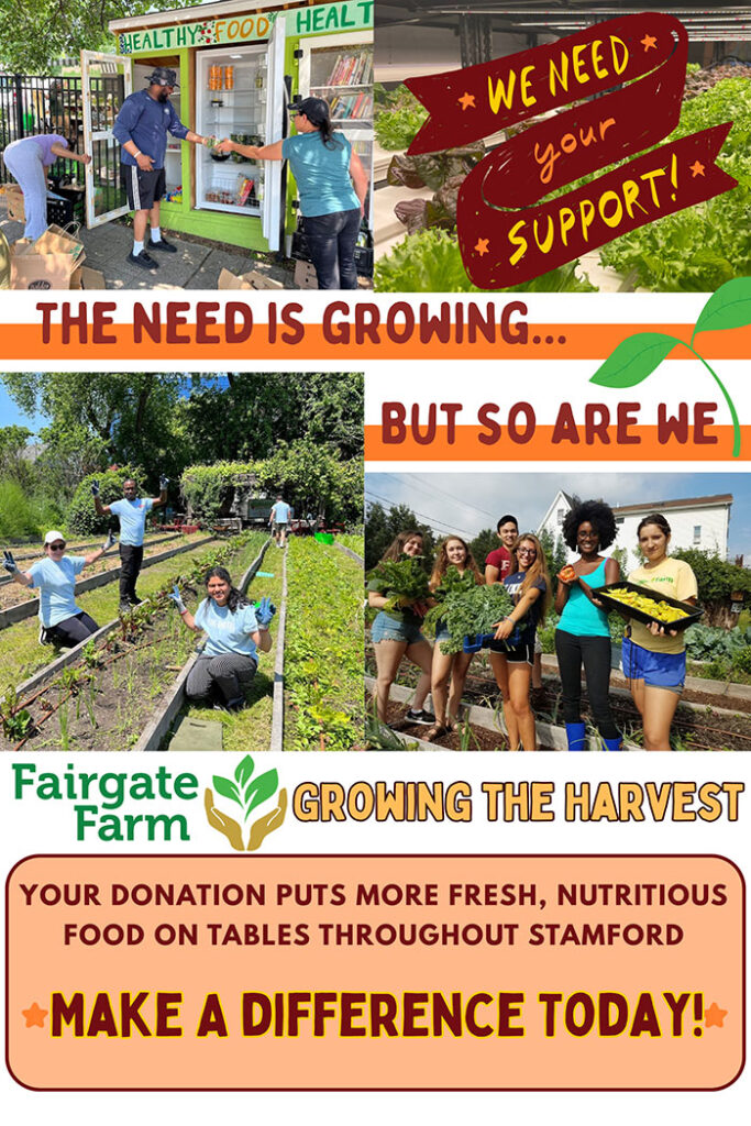 Fairgate Farm - Growing the Harvest