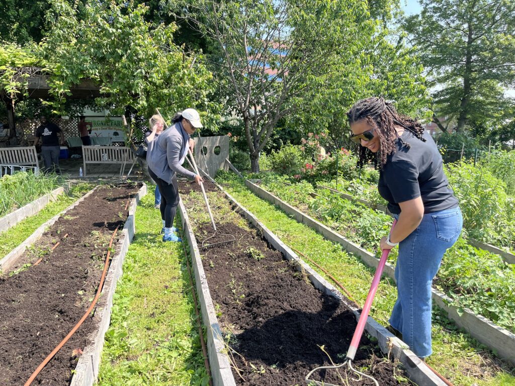 Fairgate Farm Volunteer Hours