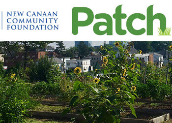 2 Stamford Nonprofits Receive Grants From New Canaan Community Foundation