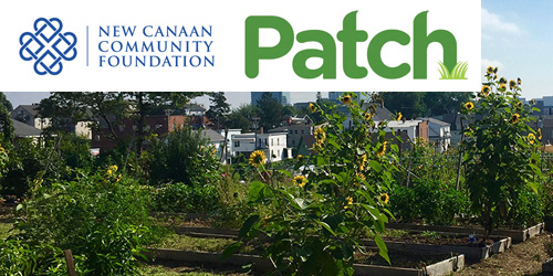 2 Stamford Nonprofits Receive Grants From New Canaan Community Foundation